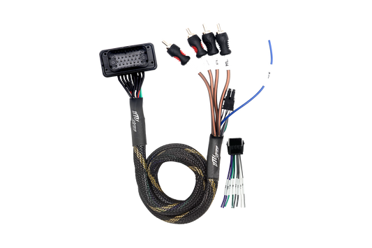 RZR® Pro Series Ride Command Front & Rear RCA Output + Speaker Wire & Remote | UTVS-PRO-RC-RCA-OUT